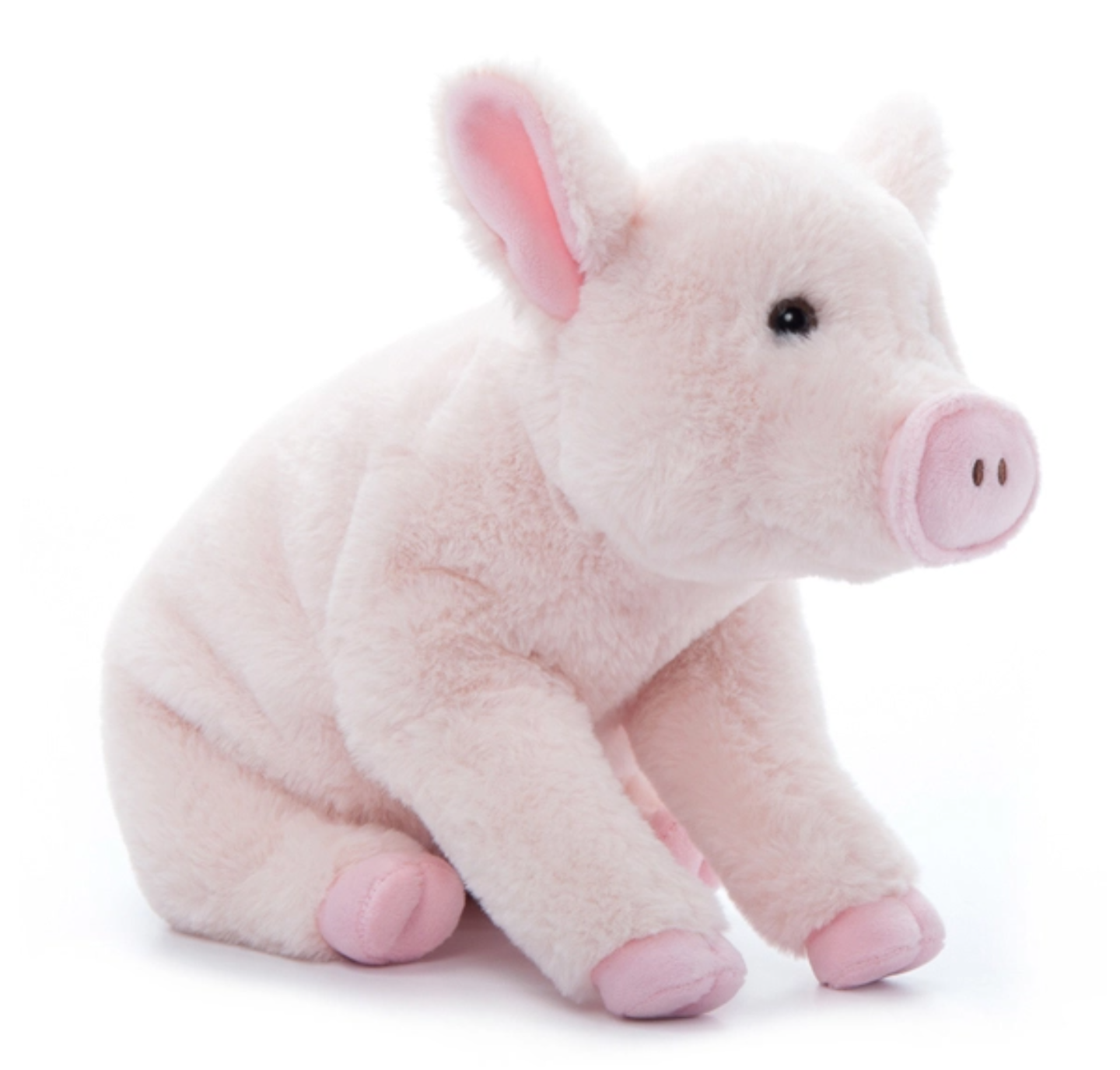 The Petting Zoo-Pig